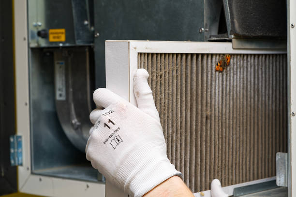 Best Air Duct Cleaning Near Me  in Mokuleia, HI