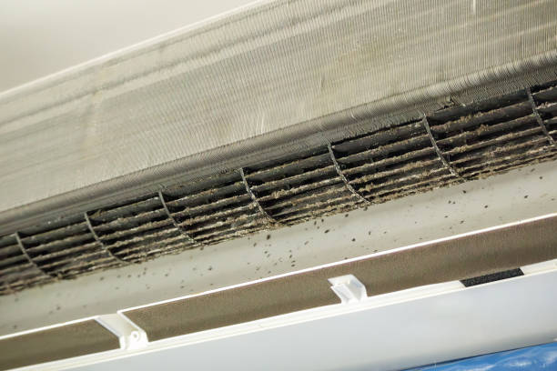 Best Air Duct Cleaning Cost  in Mokuleia, HI